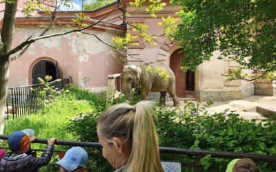 WYCIECZKA DO ZOO WE WROCŁAWIU🐒🚌🦒