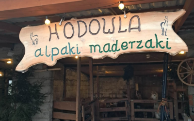 Średniaki z wizytą 🦙🥕🐐